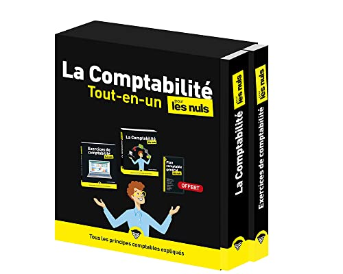 La Comptabilité Tout-en-un pour les Nuls, 2e éd: Coffret en 2 volumes von POUR LES NULS