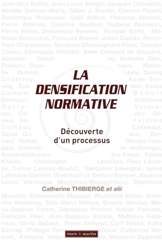 La densification normative: Découverte d'un processus. von MARE MARTIN