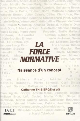 la force normative. naissance d'un concept: SOUS LA DIRECTION DE CATHERINE THIBIERGE