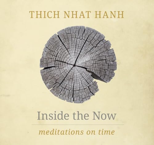 Inside the Now: Meditations on Time Inside the Now: Meditations on Time