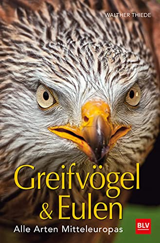 BLV Greifvögel & Eulen: Alle Arten Mitteleuropas (BLV Vögel) von Gräfe und Unzer