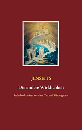 Jenseits die andere Wirklichkeit: Seelenlandschaften zwischen Tod und Wiedergeburt