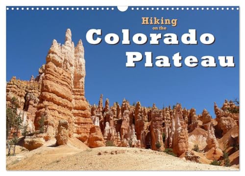 Hiking on the Colorado Plateau (Wall Calendar 2025 DIN A3 landscape), CALVENDO 12 Month Wall Calendar: On foot, on horseback and by car through the National Parks of Arizona and Utah von Calvendo