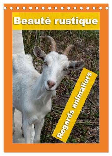 Beauté rustique Regards animaliers (Calendrier de bureau 2025 DIN A5 vertical), CALVENDO calendrier mensuel von CALVENDO