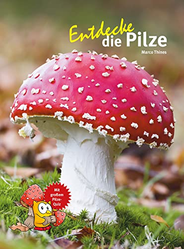 Entdecke die Pilze (Entdecke - Die Reihe mit der Eule: Kindersachbuchreihe)