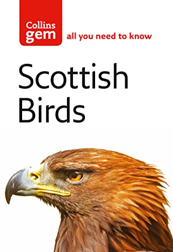 Scottish Birds: Your essential field guide to common Scottish birds (Collins Gem) von Collins