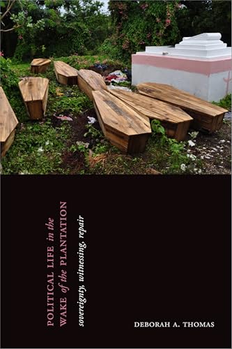 Political Life in the Wake of the Plantation: Sovereignty, Witnessing, Repair