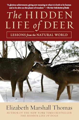 The Hidden Life of Deer: Lessons from the Natural World