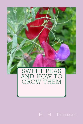 Sweet Peas and How to Grow Them