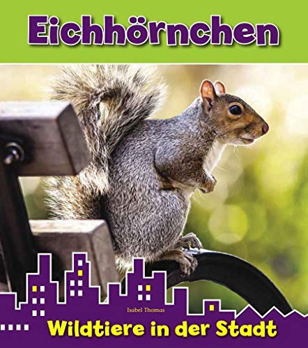 Eichhörnchen: Wildtiere in der Stadt Eichhörnchen: Wildtiere in der Stadt