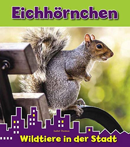 Eichhörnchen: Wildtiere in der Stadt