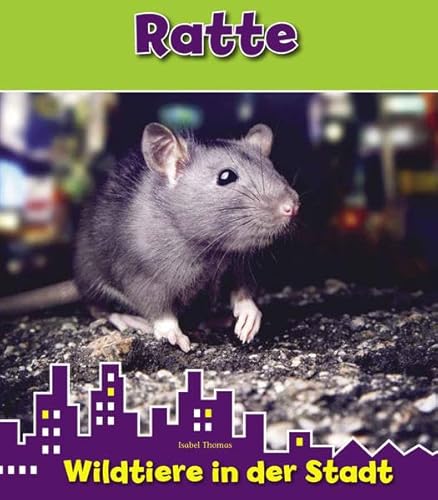 Ratte: Wildtiere in der Stadt