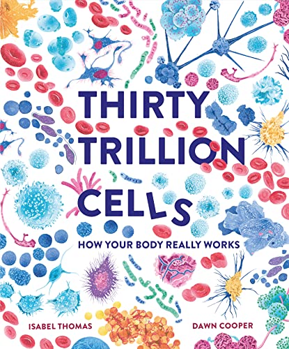 Thirty Trillion Cells: How Your Body Really Works von Welbeck Children's Books
