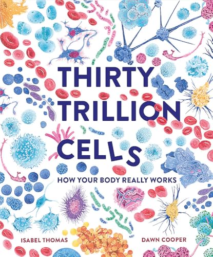 Thirty Trillion Cells: How Your Body Really Works von Welbeck Children's Books