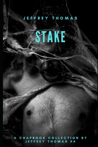 Stake: Three Stories From Punktown (A Chapbook Collection by Jeffrey Thomas, Band 4) von Independently published