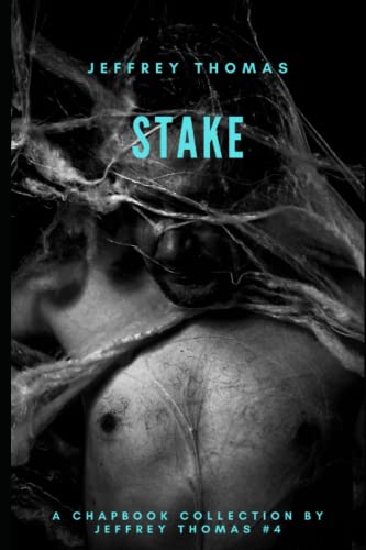 Stake: Three Stories From Punktown (A Chapbook Collection by Jeffrey Thomas, Band 4)