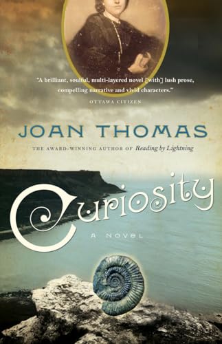 Curiosity: A Love Story von McClelland & Stewart