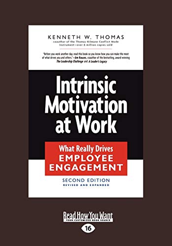 Intrinsic Motivation at Work: [large print edition]: What Really Drives Employee Engagement (Large Print 16pt)