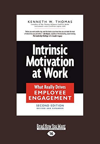 Intrinsic Motivation at Work: [large print edition]: What Really Drives Employee Engagement (Large Print 16pt) von ReadHowYouWant