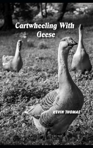 Cartwheeling with Geese: Short Stories From a Rhodesian Boyhood circa 1955 to 1967 von Independently published