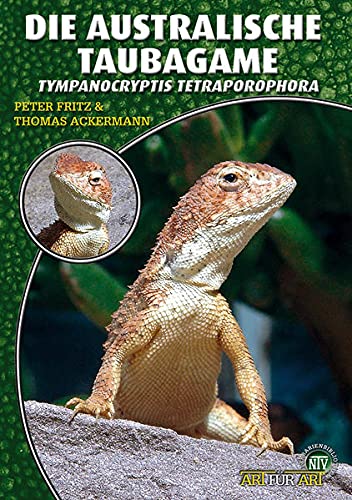 Die Australische Taubagame: Tympanocryptis tetraporophora von NTV Natur und Tier-Verlag