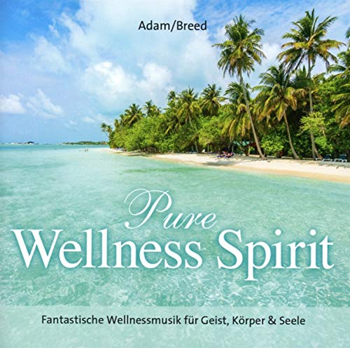Pure Wellness Spirit: Fantastische Wellnessmusik für Geist, Körper & Seele! von Neptun Media