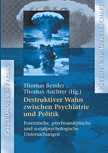 Destruktiver Wahn zwischen Psychiatrie und Politik: Forensische, psychoanalytische und sozialpsychologische Untersuchungen (Psyche und Gesellschaft)