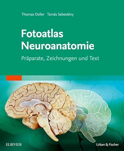 Fotoatlas Neuroanatomie: Präparate, Zeichnungen und Text