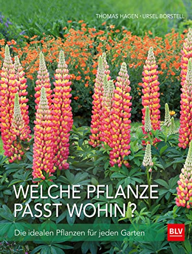 Welche Pflanze passt wohin?: Ideale Pflanzen für jeden Standort (BLV Pflanzenpraxis) Welche Pflanze passt wohin?: Ideale Pflanzen für jeden Standort (BLV Pflanzenpraxis)