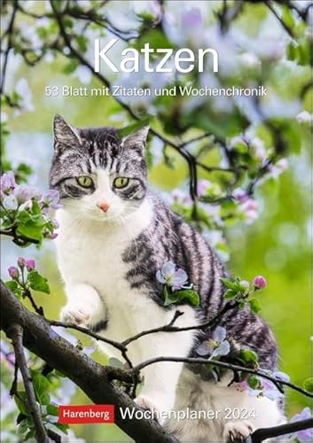 Katzen Wochenplaner. Wandkalender 2024 mit Platz für Notizen und vielen süßen Katzenfotos. Tierkalender 2024 mit praktischer Wochenansicht. Hochformat ... cm: 53 Blatt mit Zitaten und Wochenchronik