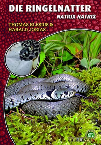 Die Ringelnatter: Natrix natrix (Buchreihe Art für Art Terraristik) von NTV Natur und Tier-Verlag