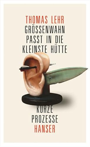 Größenwahn passt in die kleinste Hütte: Kurze Prozesse von HANSER FACHBUCHVERLAG