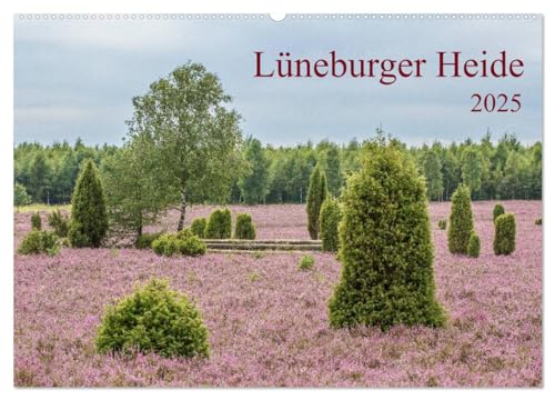 Lüneburger Heide (Wandkalender 2025 DIN A2 quer), CALVENDO Monatskalender von CALVENDO