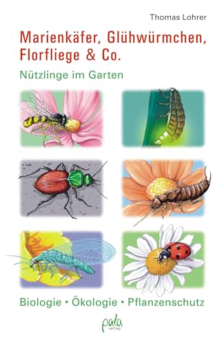 Marienkäfer, Glühwürmchen, Florfliege & Co.: Nützlinge im Garten Biologie, Ökologie, Pflanzenschutz von Pala- Verlag GmbH