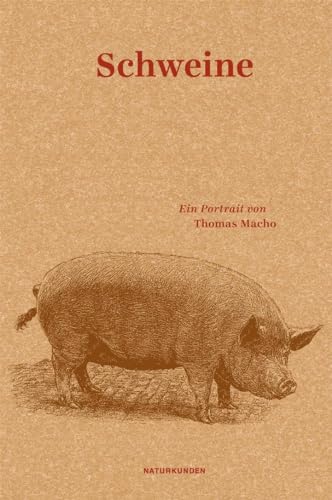 Schweine: Ein Portrait (Naturkunden) von Matthes & Seitz Verlag