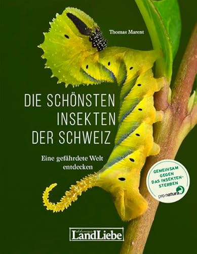 Die schönsten Insekten der Schweiz: Eine gefährdete Welt entdecken von LandLiebe-Edition