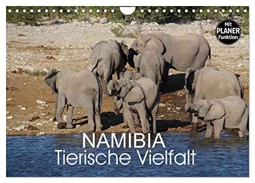 Namibia - Tierische Vielfalt (Wandkalender 2025 DIN A4 quer), CALVENDO Monatskalender von CALVENDO