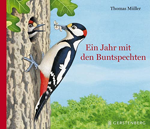 Ein Jahr mit den Buntspechten von Gerstenberg Verlag
