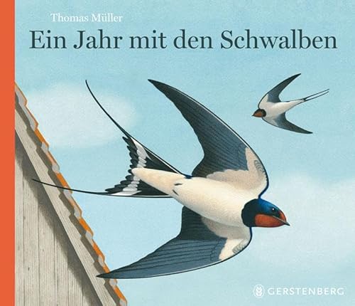 Ein Jahr mit den Schwalben