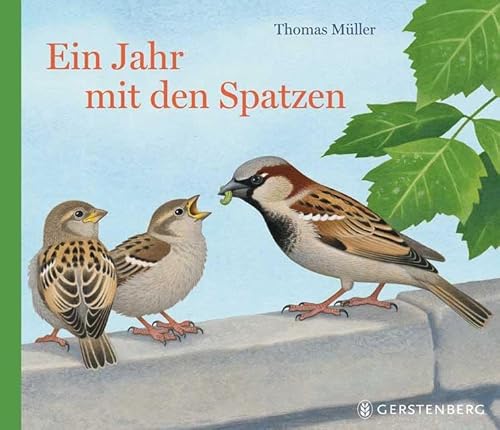 Ein Jahr mit den Spatzen