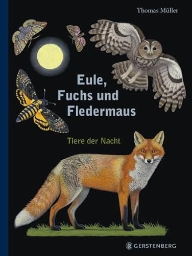 Eule, Fuchs und Fledermaus: Tiere der Nacht