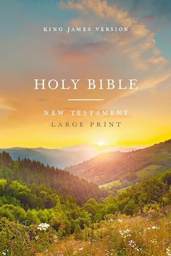 KJV Large Print Outreach New Testament Bible, Scenic Softcover, Comfort Print: King James Version Outreach New Testament Bible, Scenic, Comfort Print von Thomas Nelson