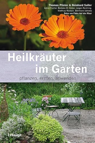 Heilkräuter im Garten: pflanzen, ernten, anwenden