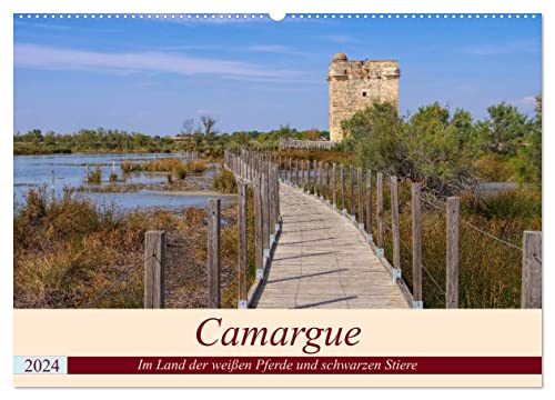 Camargue - Im Land der weißen Pferde und schwarzen Stiere (Wandkalender 2024 DIN A2 quer), CALVENDO Monatskalender