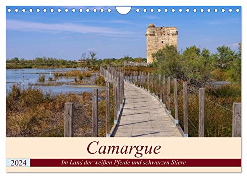 Camargue - Im Land der weißen Pferde und schwarzen Stiere (Wandkalender 2024 DIN A4 quer), CALVENDO Monatskalender von CALVENDO