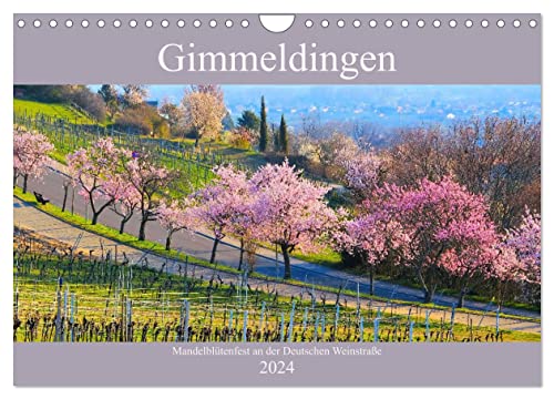 Gimmeldingen - Mandelblütenfest an der Deutschen Weinstraße (Wandkalender 2024 DIN A4 quer), CALVENDO Monatskalender von CALVENDO
