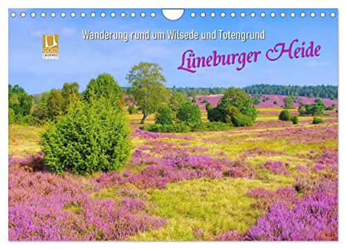Lüneburger Heide - Wanderung rund um Wilsede und Totengrund (Wandkalender 2024 DIN A4 quer), CALVENDO Monatskalender von CALVENDO