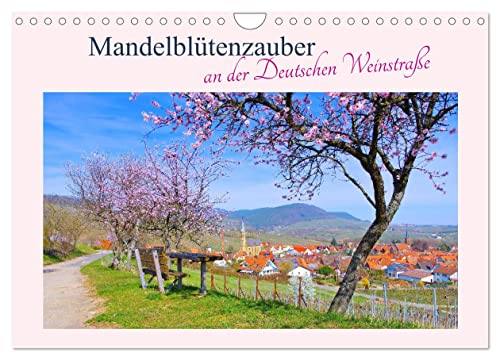 Mandelblütenzauber an der Deutschen Weinstraße (Wandkalender 2024 DIN A4 quer), CALVENDO Monatskalender von CALVENDO
