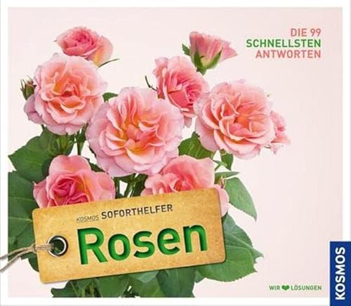 Soforthelfer Rosen: Die 99 schnellsten Antworten