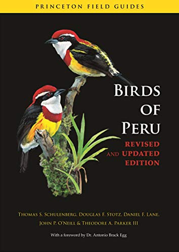 Birds of Peru (Princeton Field Guides)